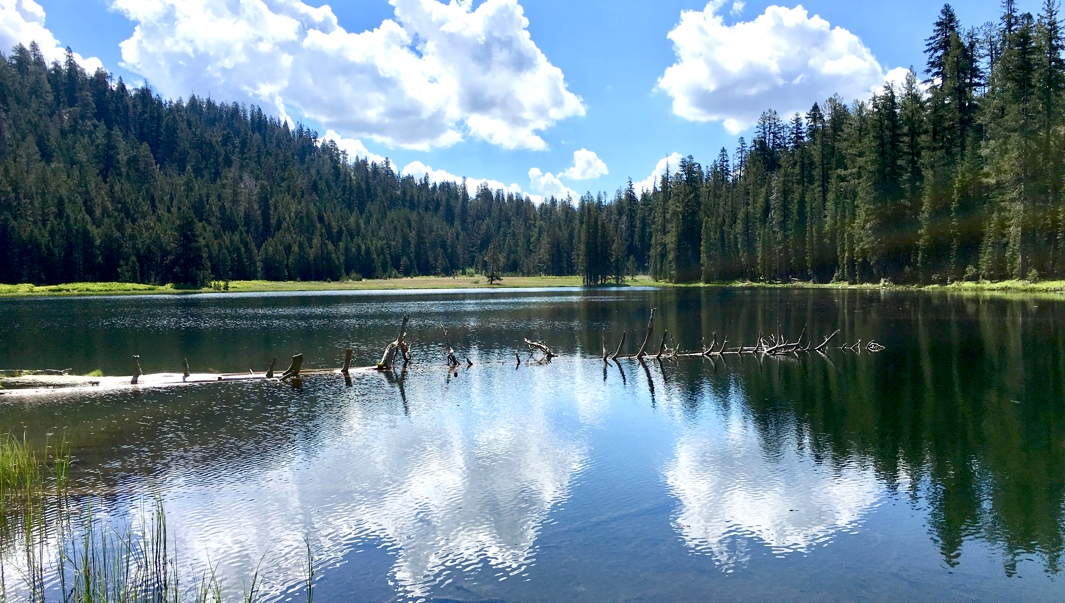 Lukens Lake