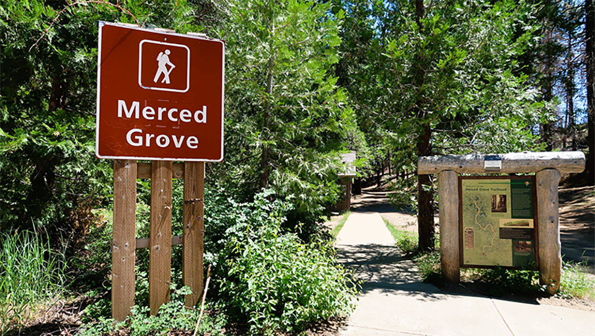 Merced Grove