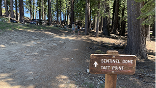 Sentinel Dome